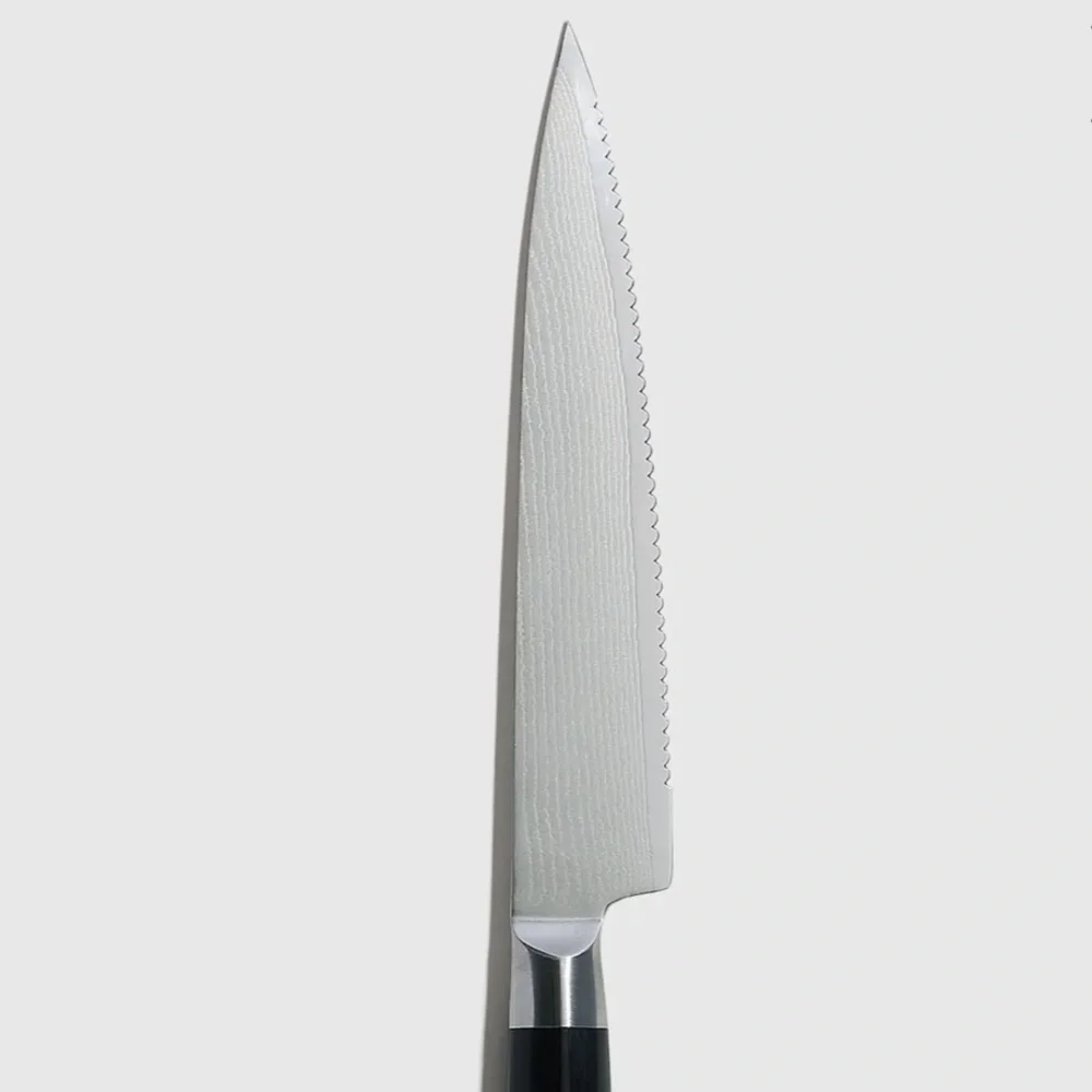 QUINCE NIB Essential Japanese Damascus Steel 6